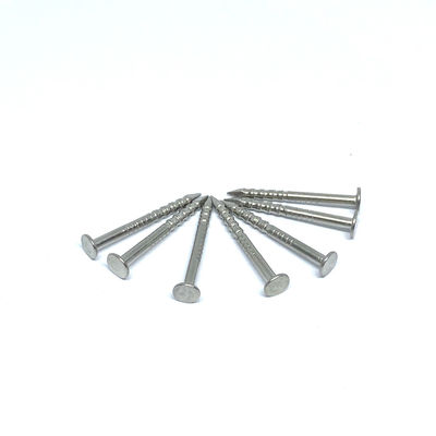 1.6X19MM 벨소리 정강이 316 스테인레스 강 민머리 못
