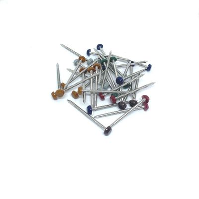 벨소리 정강이와 2.0X40mm 바깥에서 반대 UV 플라스틱 헤드 정곡