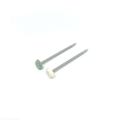 스테인레스 강 보수할 필요가 없는 플라스틱 헤드 네일 나일론 PA6 50MM 길이