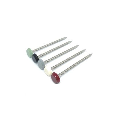 고리가 있는 정강이와 65MM 길이 나일론 플라스틱 선두 못