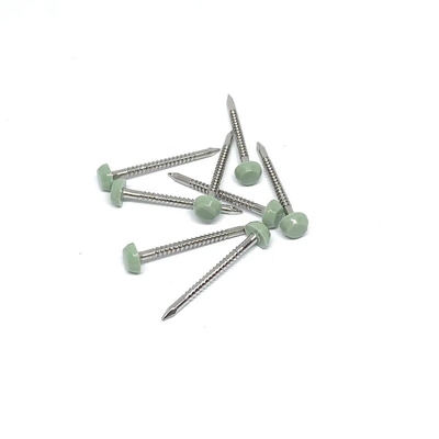 스테인레스 강 A2/A4 벨소리 정강이 플라스틱 헤드 정곡 2.0X30mm