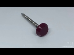 스테인리스 스틸 플라스틱 헤드 못